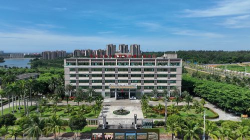 阿联酋向我国赠送第二批2万余株椰枣苗
