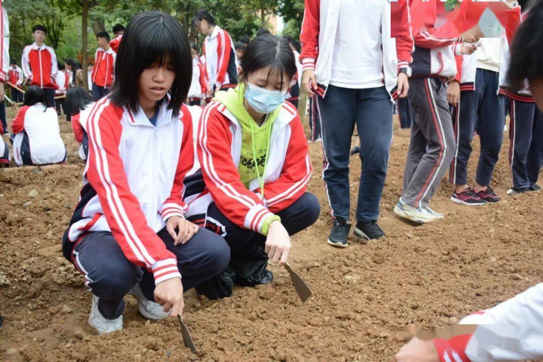 花开满树红 劳动最光荣 | 阳春市第一中学第二届劳动节启.
