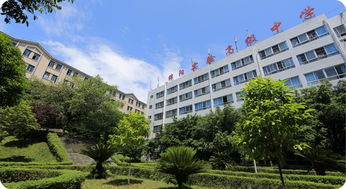 行到高处声自远 仰看国色吐天香 绵阳实验高中巡礼