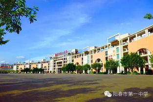 华珂,阳春真没有火腿厂,也没那么容易发现一窝小老鼠