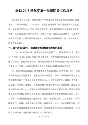 XX高级中学团委2012年工作总结