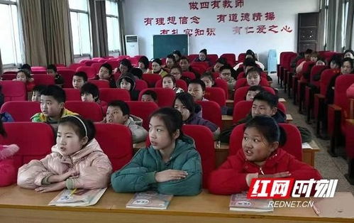 澧澹中学 清露晨流 新桐初引